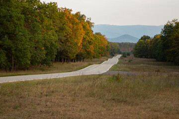 Country road and forest, hills in the background