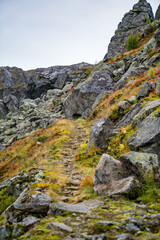 Rocky Path in Norway
