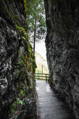 a path through the rocks