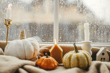 Cozy autumn rainy day. Stylish warm cup of tea, candle, pumpkins on cozy wool blanket against...