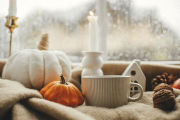 Stylish warm cup of tea, candle, pumpkins on cozy wool blanket against window with rain drops. Moody fall wallpaper. Happy Thanksgiving. Autumn banner. Cozy autumn rainy day
