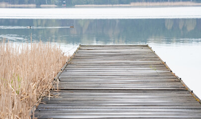 Wooden pier over the river. A cloudy spring day. Background with a deck made of boards.