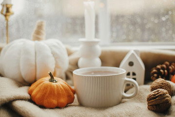 Cozy autumn rainy day. Stylish warm cup of tea, candle, pumpkins on cozy wool blanket against window with rain drops. Autumn banner.  Moody fall wallpaper. Happy Thanksgiving