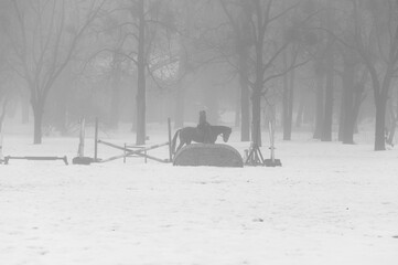 A horse rider at a horse walking in winter next to barriers in a heavy fog at Holosiivskyi National Nature Park, Kyiv, Ukraine