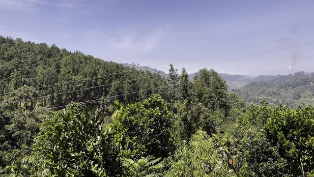 aerial view, jungle, ella, drone, ceylon, asia, arch, view, travel, transportation, train, tourism, sri lanka, outdoor, old, nature, landscape, green, forest, bridge, beautiful, architecture, aerial, 