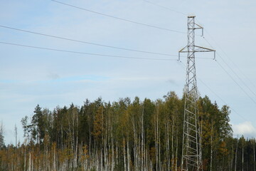 Power lines pylon in the autumn forest on blue sky background