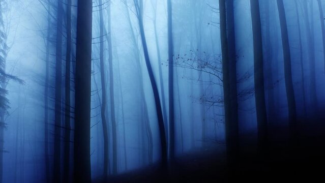 Blurred dark blue foggy scary forest landscape.