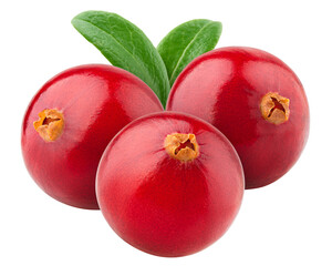 cranberry, cowberry, lingonberry, isolated on white background, clipping path, full depth of field