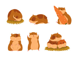 Fototapeta premium Cute Hamster as Small Pet with Cheek Pouches Engaged in Different Activity Vector Set