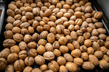 Many walnut in big black pan, closeup.