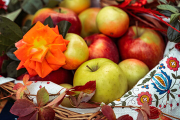 Naklejka na ściany i meble beautiful colourful autumn decoration of apples, leaves and flowers, healthy food, fresh harvested fruit