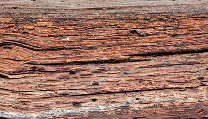 Fototapeta premium wooden background pattern for crafts or abstract art texture