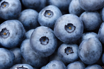 photo of tasty blueberries - a healthy fruit snack, food ingredient
