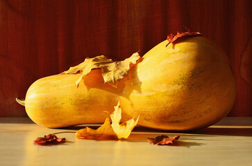 Pumpkin in the shape of a pear with autumn leaves on a background of red fabric.