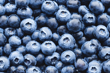 photo of tasty blueberries - a healthy fruit snack, food ingredient
