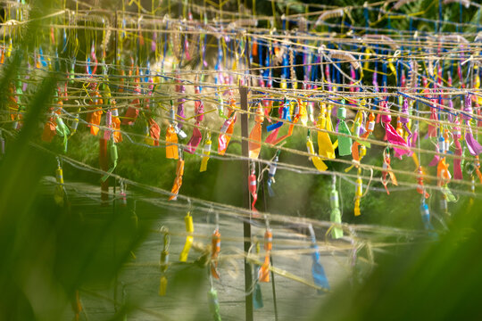 PETARDOS DE COLORES