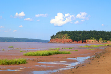 Sandy shore at low tide in the Bay of Fundy in Sackville New Brunswick, Canada - obrazy, fototapety, plakaty