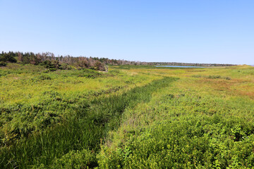 Landscape in summer in Prince Edwards Island Canada