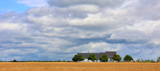 Landscape in summer in Prince Edwards Island Canada