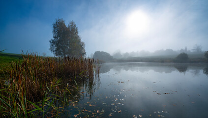 an autumnal landscape with pond and fog