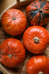 Different varieties of squashes and pumpkins on straw. Colorful vegetables top view