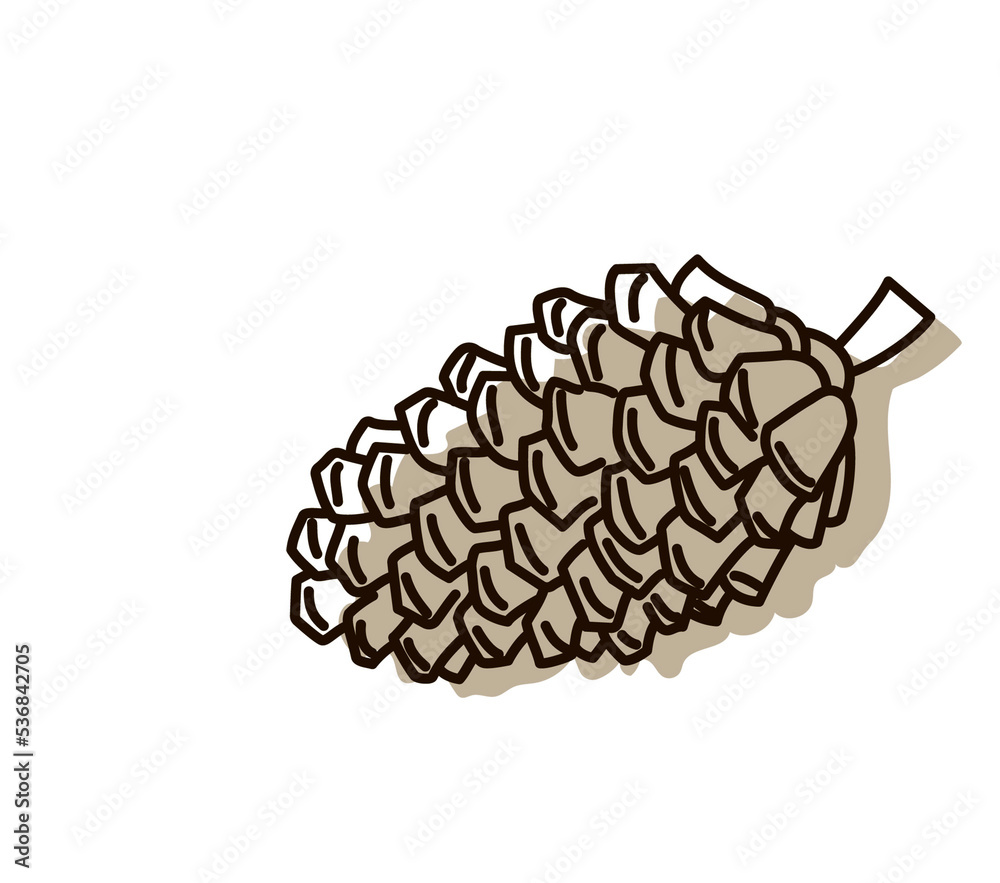 Wall mural pine cones isolated