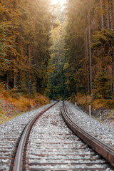 Fototapeta premium The railway track passes through the forest, the road goes into the distance
