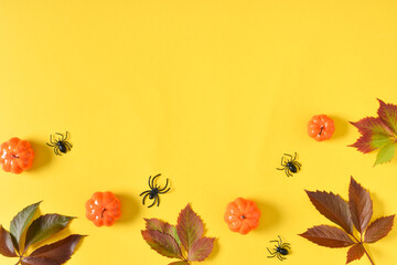 Pumpkins, spiders and leaves on a yellow background. Happy Halloween. Space for copying. Flat position, top view.