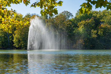 Kölner Stadtwald