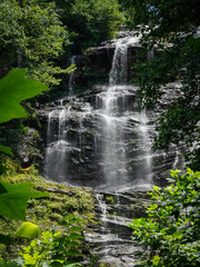 waterfall in the forest