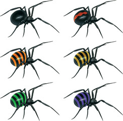 watercolor hand drawn realistic venomous spider