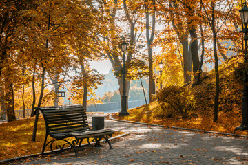 Bench in the beautiful autumn park. - 536847138