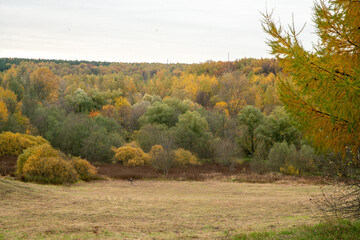 The autumn day becomes shorter and often more cloudy and depressing for people in northern...