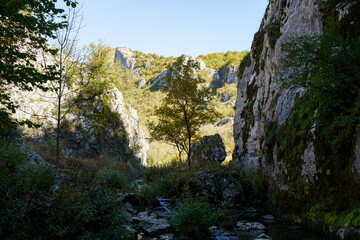 autumn landscape in the mountains