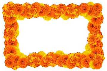 Cempasuchil flower frame, Mexican flower of the day of the dead in Mexico. Tagetes Erecta, Mexican...