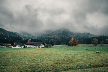 Herbstlandschaft, Herbst, Landschaft, Natur, Bayern, Eschenlohe, Wiese, berge, Hügel