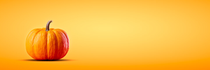 Cute Mini Pumpkin Isolated On Yellow Orange Background - Thanksgiving And Autumn Banner
