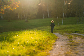 Kind, laufen, wiese, natur, feldweg, weg, junge, Bub, läuft