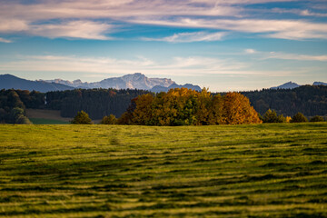 Obraz premium Wiese, Berge, Berglandschaft, Alpen, Zugspitze, Bergblick, Oberbayern, Voralpenland