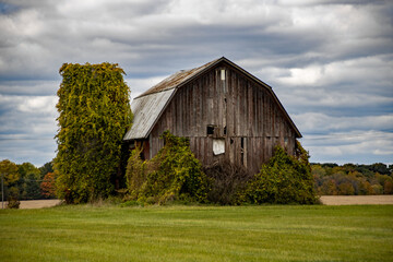 Obraz premium old barn in the countryside