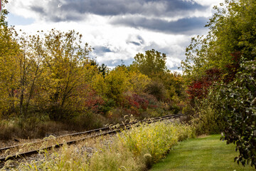 Railroad track in autumn