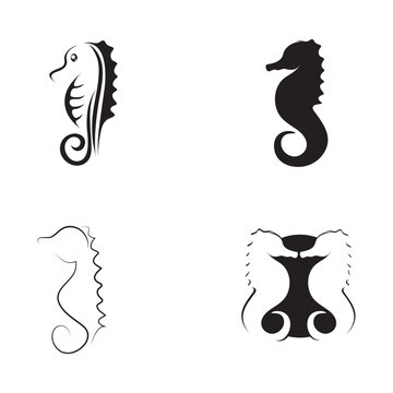 Set of Sea horse logo vector