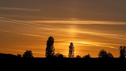 Sonnenuntergang: Himmel mit Wolken und Silhouette von Bäumen in Orange (Licht & Schatten)