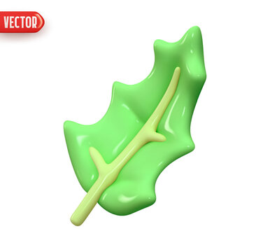 Holly leaf. Green mistletoe leaf. Decorative Christmas element for design. Realistic 3d cartoon style. Vector illustration