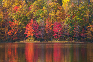 Trees in brilliant autumn color reflecting in a small lake in northern Minnesota
