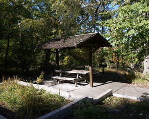 Small Weathered Wood Picnic Pavillion in Green Woodland and Sunlight