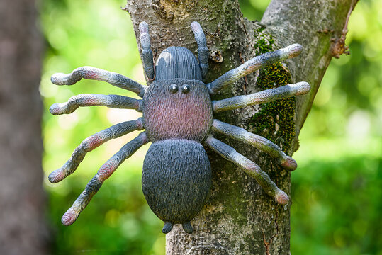 Spider as a yard toy
