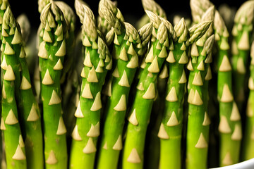 Fototapeta premium a picture of a bunch of asparagus, fresh green vegetable, food ingredient