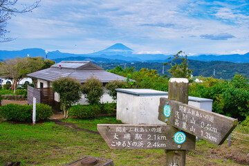 湘南平からの風景