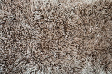 Closeup detail of gray shag rug